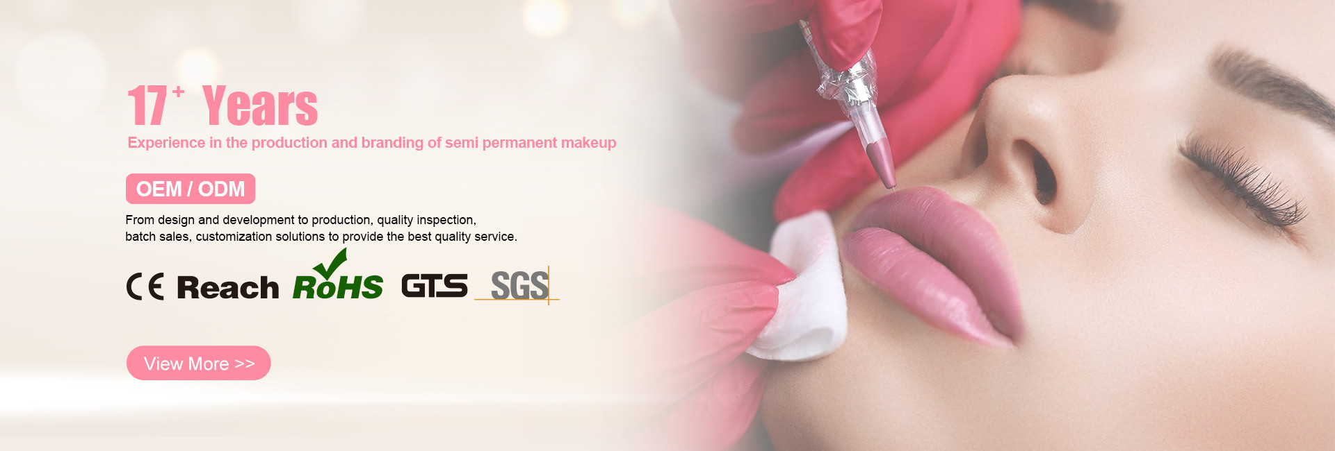 품질 영구적 메이크업 문신 장비 공장